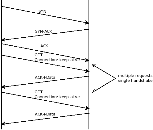 Brotli Compression: What It's And Tips On How To Enable It On Your Website